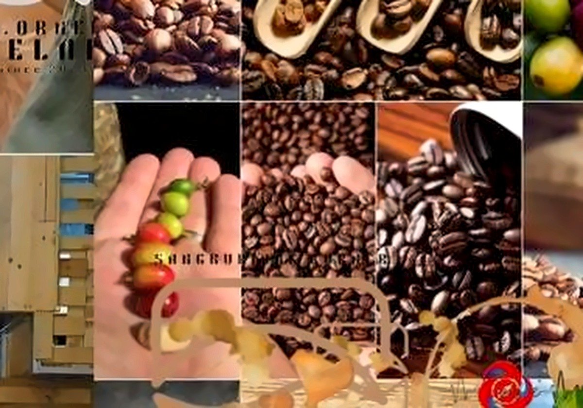 Sangkuriang Coffee Experience