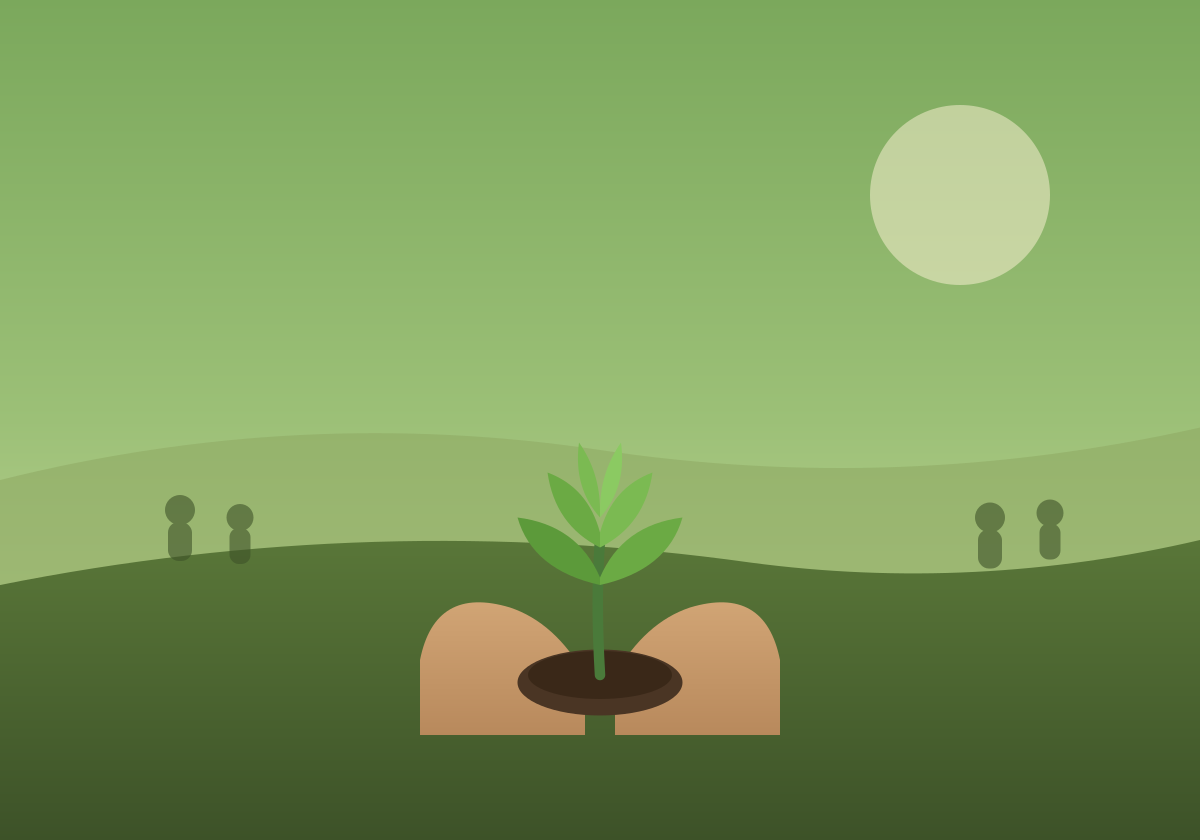 CSR Program & Consulting